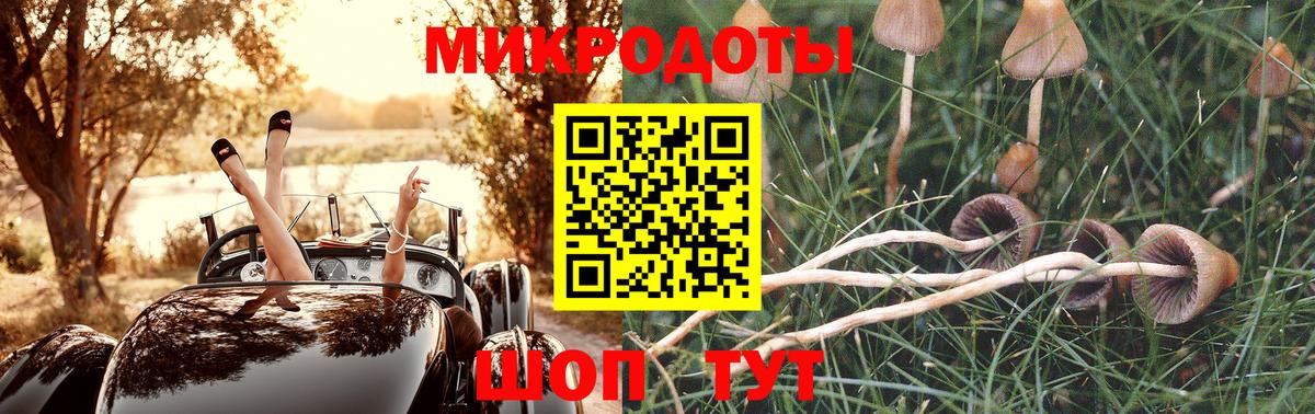 Галлюциногенные грибы мухоморы  Вход с VPN  Сухой Лог  Галлюциногенные грибы GOLDEN TEACHER 