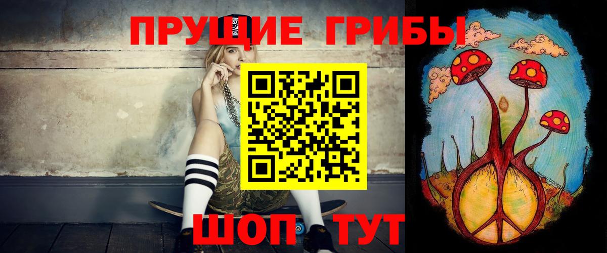 Псилоцибиновые грибы прущие грибы Сухой Лог